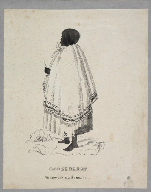 Queen Gooseberry, courtesy of the National Library of Australia